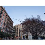 Foto dei utenti Samsung Galaxy S10+ Dual SIM Foto dei utenti Samsung Galaxy S10+ Dual SIM