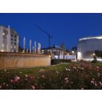 Foto dei utenti Samsung Galaxy S10+ Dual SIM Foto dei utenti Samsung Galaxy S10+ Dual SIM