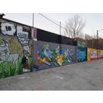 Foto dei utenti Samsung Galaxy S10+ Dual SIM Foto dei utenti Samsung Galaxy S10+ Dual SIM