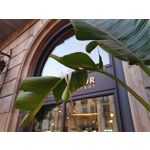 Foto dei utenti Samsung Galaxy S10+ Dual SIM Foto dei utenti Samsung Galaxy S10+ Dual SIM