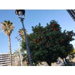 Foto dei utenti Samsung Galaxy S10+ Dual SIM Foto dei utenti Samsung Galaxy S10+ Dual SIM