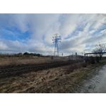 Foto dei utenti Samsung Galaxy S10+ Dual SIM Foto dei utenti Samsung Galaxy S10+ Dual SIM