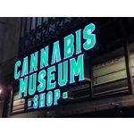 Foto dei utenti Samsung Galaxy S10+ Dual SIM Foto dei utenti Samsung Galaxy S10+ Dual SIM