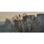 Foto dei utenti Samsung Galaxy S10+ Dual SIM Foto dei utenti Samsung Galaxy S10+ Dual SIM