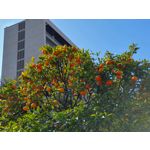 Foto dei utenti Samsung Galaxy S10+ Dual SIM Foto dei utenti Samsung Galaxy S10+ Dual SIM