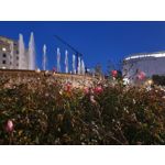 Foto dei utenti Samsung Galaxy S10+ Dual SIM Foto dei utenti Samsung Galaxy S10+ Dual SIM