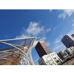 Foto dei utenti Samsung Galaxy S10+ Dual SIM Foto dei utenti Samsung Galaxy S10+ Dual SIM