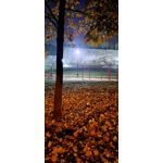 Selbst von Nutzern gemachte Bilder Samsung Galaxy S20 FE 5G