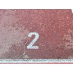 Selbst von Nutzern gemachte Bilder Samsung Galaxy S20 FE 5G