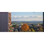 Selbst von Nutzern gemachte Bilder Samsung Galaxy S20 FE 5G