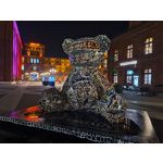 Selbst von Nutzern gemachte Bilder Samsung Galaxy S20 FE 5G