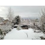 Selbst von Nutzern gemachte Bilder Samsung Galaxy S20 FE 5G