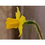 来自这款手机的图片