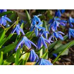 Imágenes de los usuarios Samsung Galaxy S20+ 5G Dual SIM Imágenes de los usuarios Samsung Galaxy S20+ 5G Dual SIM