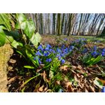 Imágenes de los usuarios Samsung Galaxy S20+ 5G Dual SIM Imágenes de los usuarios Samsung Galaxy S20+ 5G Dual SIM