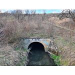 Imágenes de los usuarios Samsung Galaxy S20+ 5G Dual SIM Imágenes de los usuarios Samsung Galaxy S20+ 5G Dual SIM