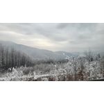 ФОТКИ СНЯТЫЕ ДАННЫМ МОБИЛЬНИКОМ