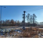 Les photos des utilisateurs Samsung Galaxy S21 FE 5G Les photos des utilisateurs Samsung Galaxy S21 FE 5G