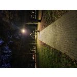 PICTURES FROM THIS PHONE