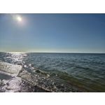 来自这款手机的图片