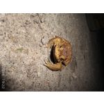 ФОТКИ СНЯТЫЕ ДАННЫМ МОБИЛЬНИКОМ