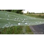 ФОТКИ СНЯТЫЕ ДАННЫМ МОБИЛЬНИКОМ