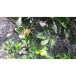 ФОТКИ СНЯТЫЕ ДАННЫМ МОБИЛЬНИКОМ