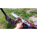 PICTURES FROM THIS PHONE