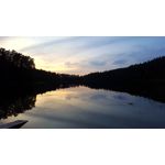 ФОТКИ СНЯТЫЕ ДАННЫМ МОБИЛЬНИКОМ