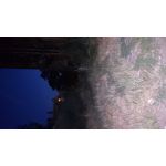 來自這款手機的圖片