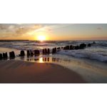 PICTURES FROM THIS PHONE