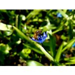 PICTURES FROM THIS PHONE