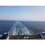 PICTURES FROM THIS PHONE