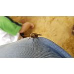 PICTURES FROM THIS PHONE