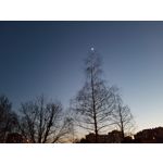 用户照片 Samsung Galaxy S7