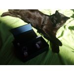 用户照片 Samsung Galaxy S7