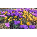 来自这款手机的图片