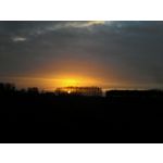 PICTURES FROM THIS PHONE