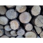 PICTURES FROM THIS PHONE