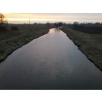 PICTURES FROM THIS PHONE