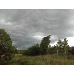 PICTURES FROM THIS PHONE