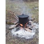 PICTURES FROM THIS PHONE