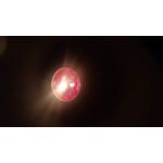 FOTOS AUS DIESEM HANDY