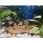 用户照片 Samsung Galaxy XCover Pro Dual SIM