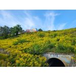 Fotos de usuários Samsung Galaxy Z Fold 3 Fotos de usuários Samsung Galaxy Z Fold 3