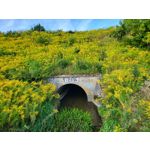 Fotos de usuários Samsung Galaxy Z Fold 3 Fotos de usuários Samsung Galaxy Z Fold 3