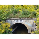 Fotos de usuários Samsung Galaxy Z Fold 3 Fotos de usuários Samsung Galaxy Z Fold 3