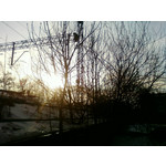 PICTURES FROM THIS PHONE