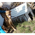 PICTURES FROM THIS PHONE