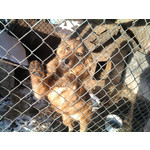 Selbst von Nutzern gemachte Bilder Samsung GT-B7300 Omnia LITE